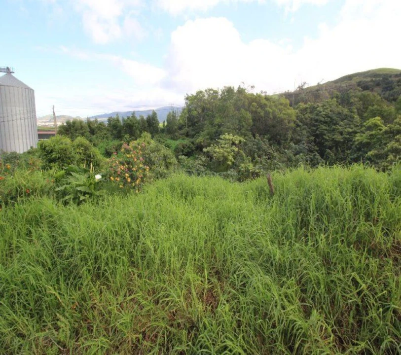 Terreno para Venda em Rabo de Peixe Foto 11