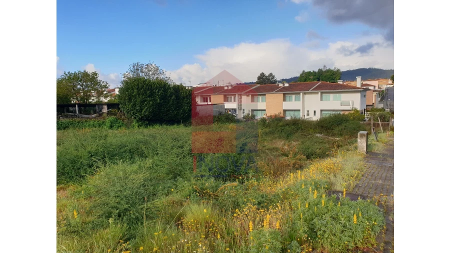 Terreno para Venda em Vila Verde e Barbudo Foto 4