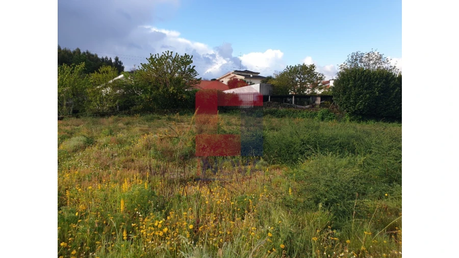 Terreno para Venda em Vila Verde e Barbudo Foto 5