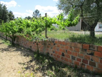 Terreno para Venda em Lardosa
