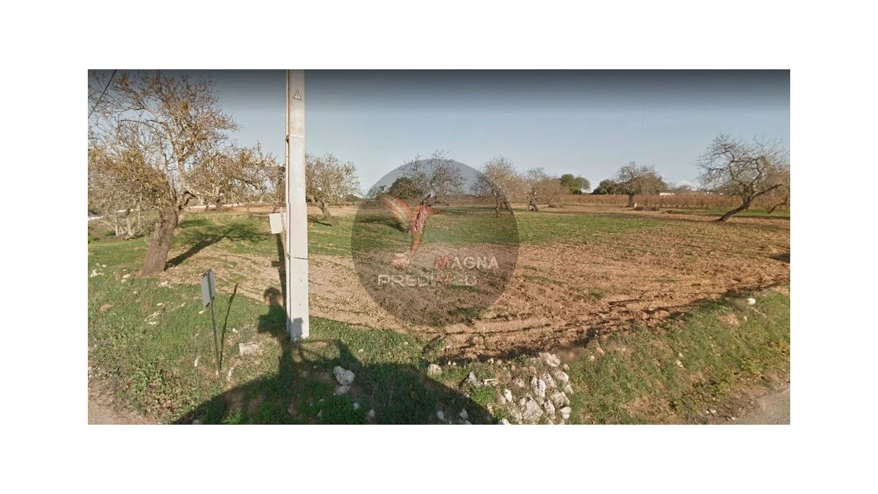 Quinta para Venda em Guia Foto 1