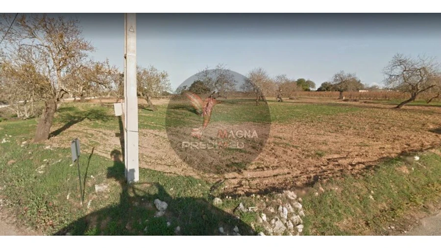 Quinta para Venda em Guia Foto 1