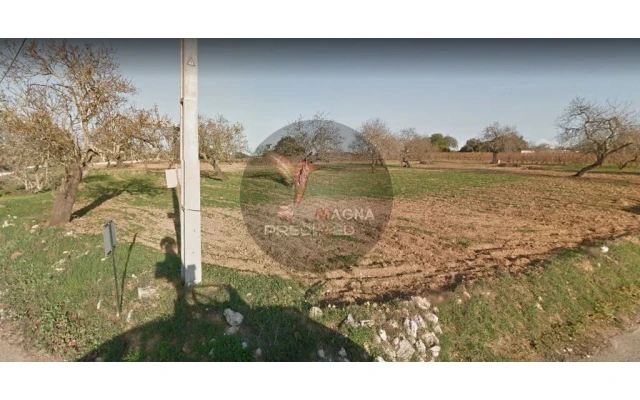 Quinta para Venda em Guia