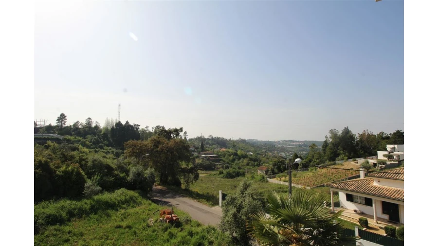 Terreno para Venda em Eiras e São Paulo de Frades Foto 3