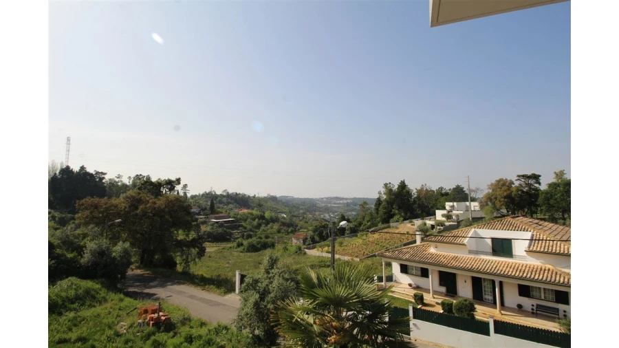 Terreno para Venda em Eiras e São Paulo de Frades Foto 2