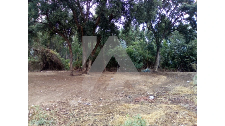 Terreno para Venda em Esmoriz Foto 2