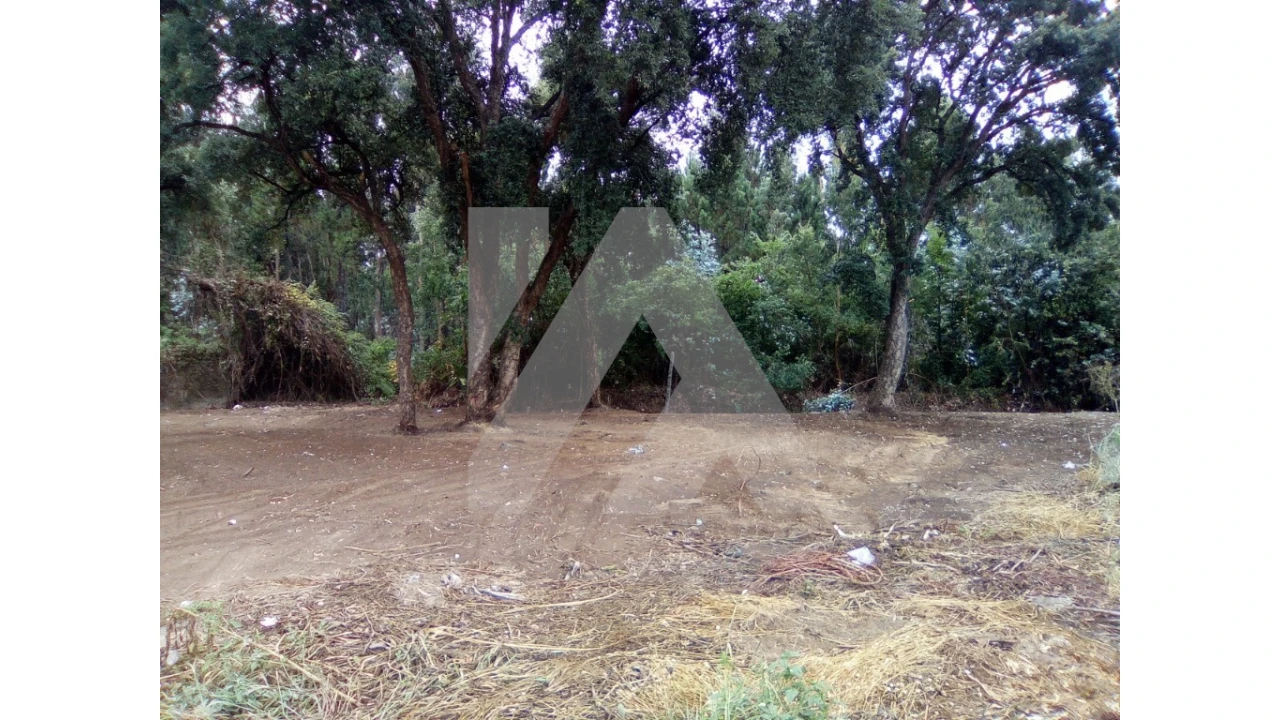 Terreno para Venda em Esmoriz Foto 2