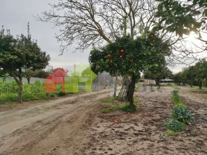 Quinta T5 para Venda em Poceirão e Marateca Foto 57