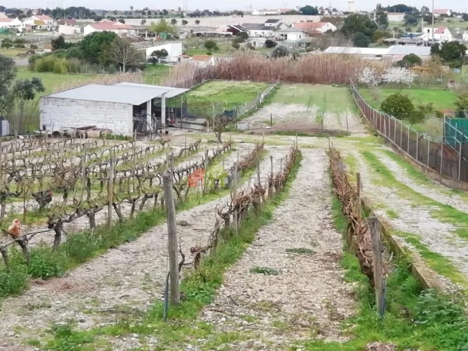 Quinta T5 para Venda em Poceirão e Marateca Foto 2