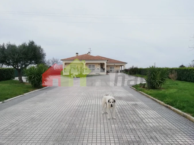 Quinta T5 para Venda em Poceirão e Marateca Foto 4