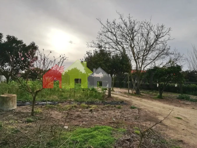 Quinta T5 para Venda em Poceirão e Marateca Foto 56