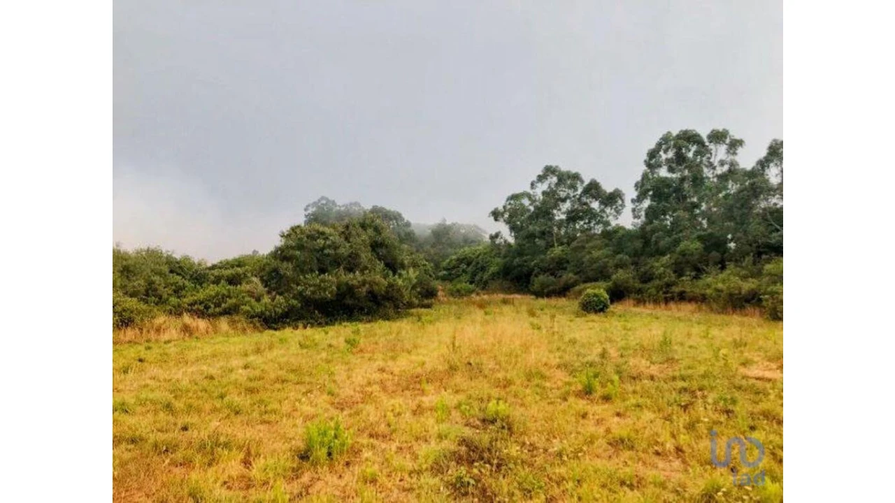 Terreno para Venda em Colares Foto 1