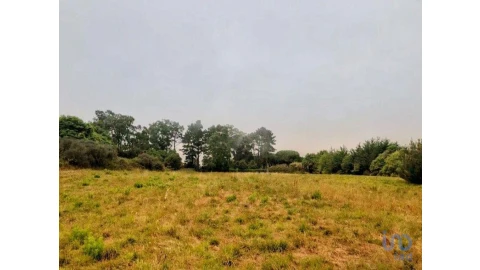 Terreno para Venda em Colares