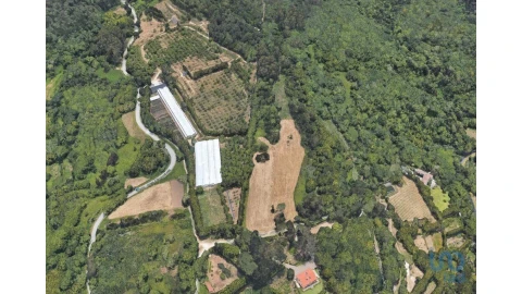 Terreno para Venda em Colares