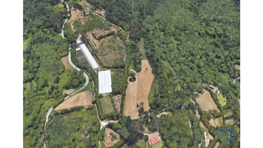 Terreno para Venda em Colares Foto 6