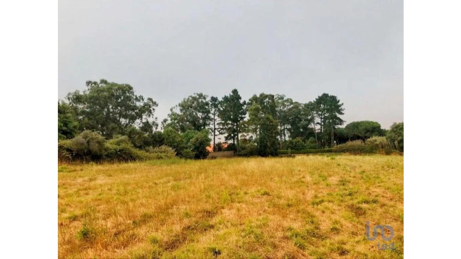 Terreno para Venda em Colares Foto 2