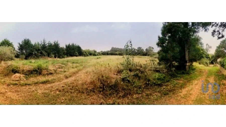 Terreno para Venda em Colares Foto 4