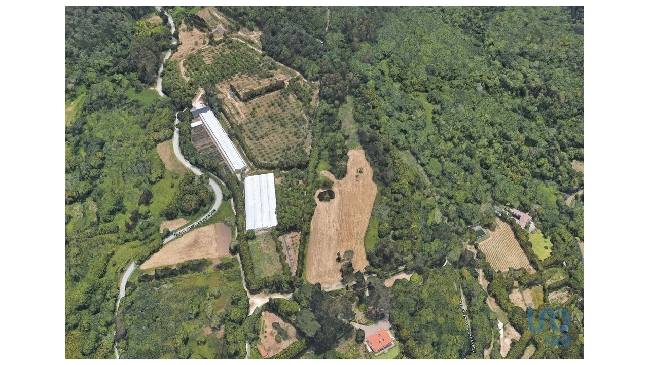 Terreno para Venda em Colares Foto 6