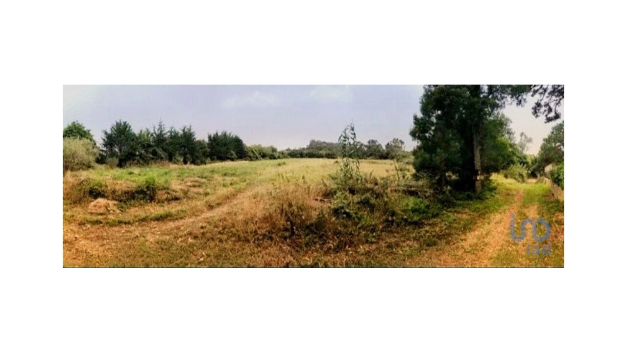 Terreno para Venda em Colares Foto 4