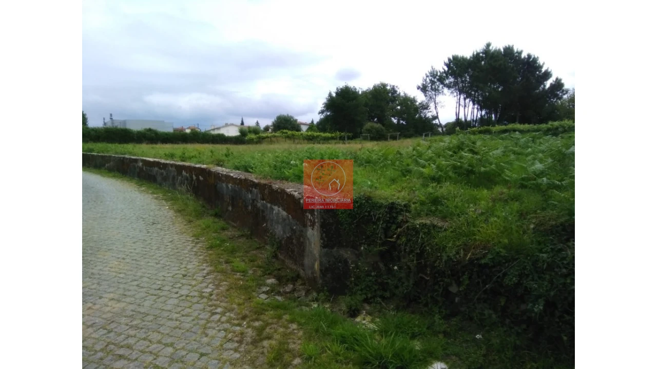 Terreno para Venda em Forjães Foto 2