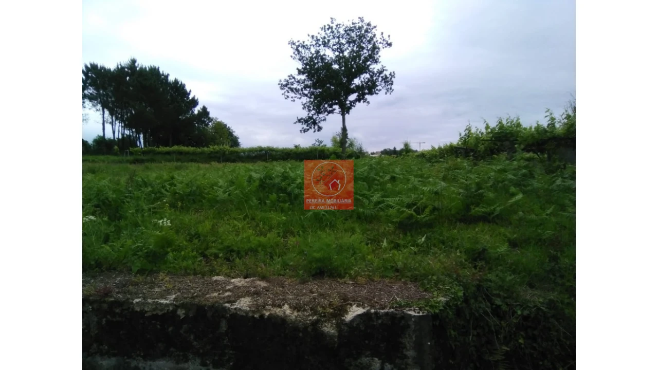Terreno para Venda em Forjães Foto 3