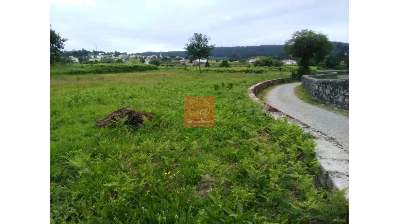 Terreno para Venda em Forjães Foto 5