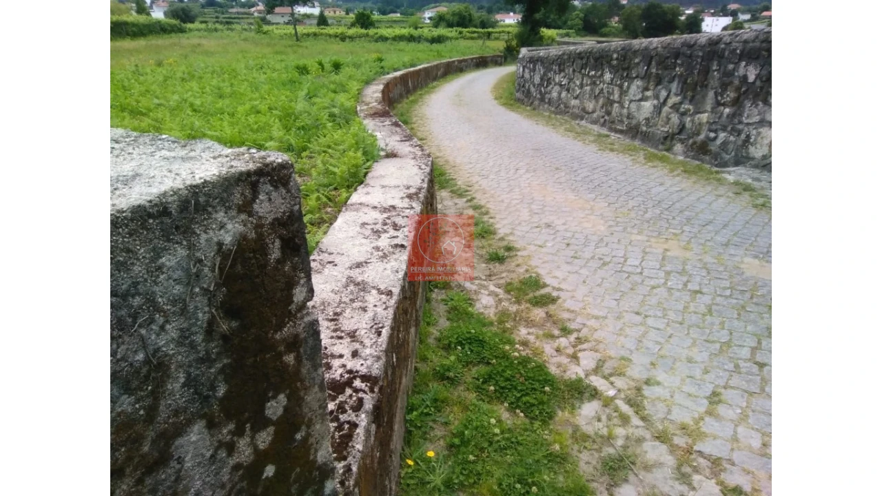 Terreno para Venda em Forjães Foto 7