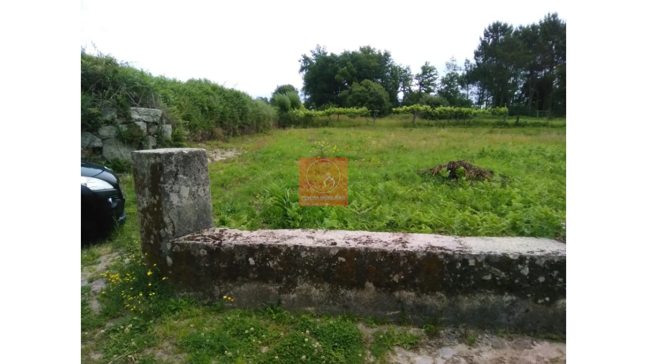 Terreno para Venda em Forjães Foto 6