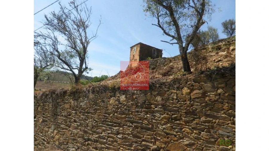 Quinta T2 para Venda em Aricera e Goujoim Foto 7