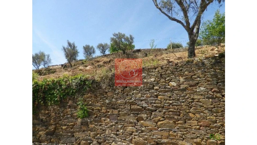 Quinta T2 para Venda em Aricera e Goujoim Foto 3