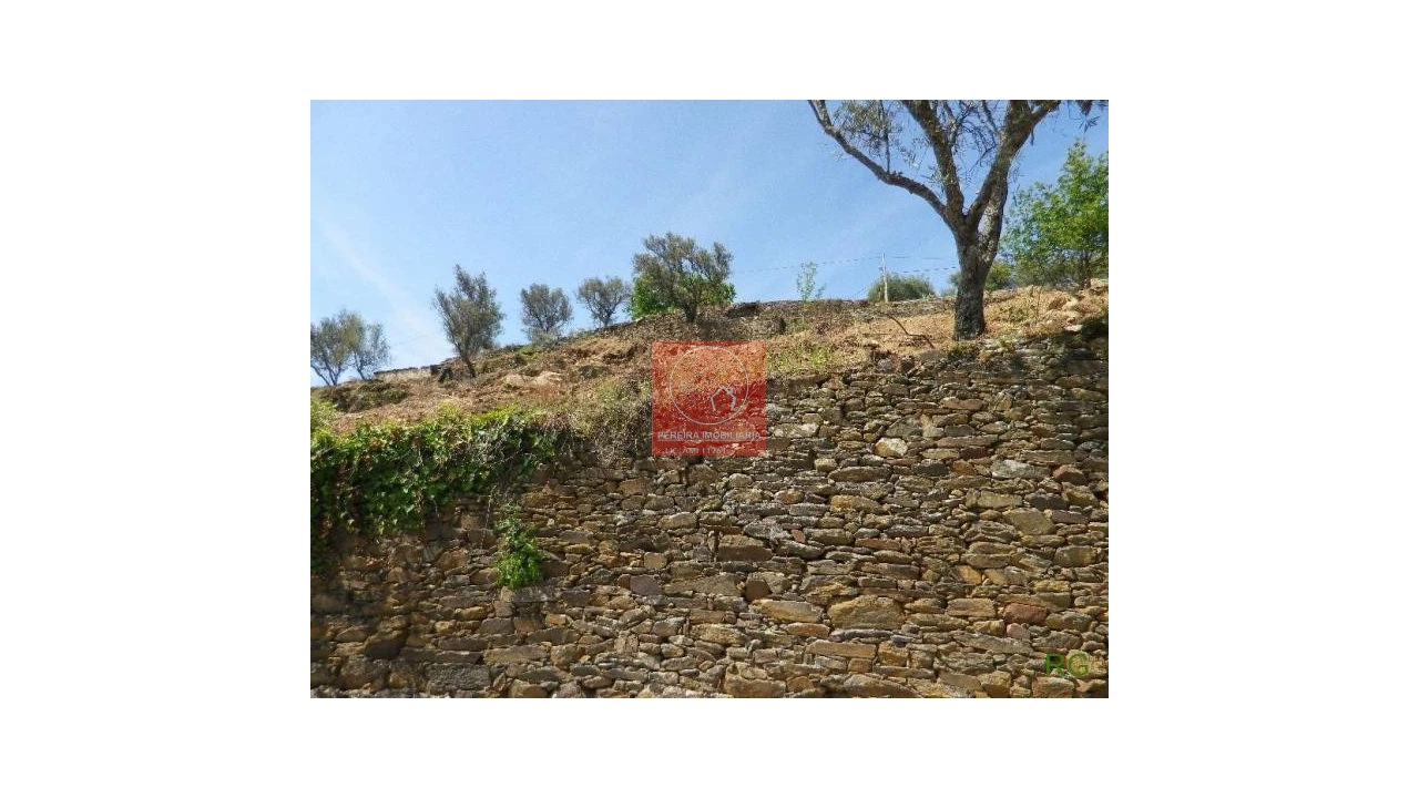 Quinta T2 para Venda em Aricera e Goujoim Foto 3