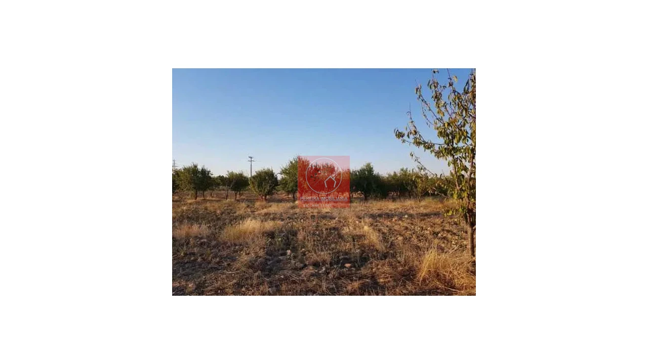 Terreno para Venda em Duas Igrejas Foto 3