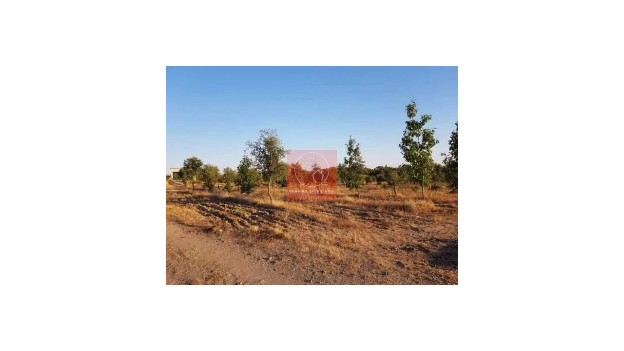 Terreno para Venda em Duas Igrejas Foto 4