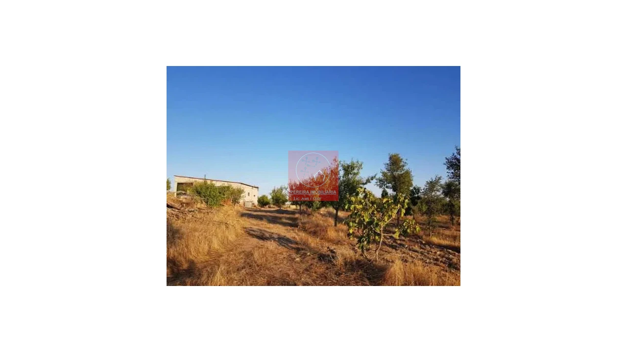 Terreno para Venda em Duas Igrejas Foto 6