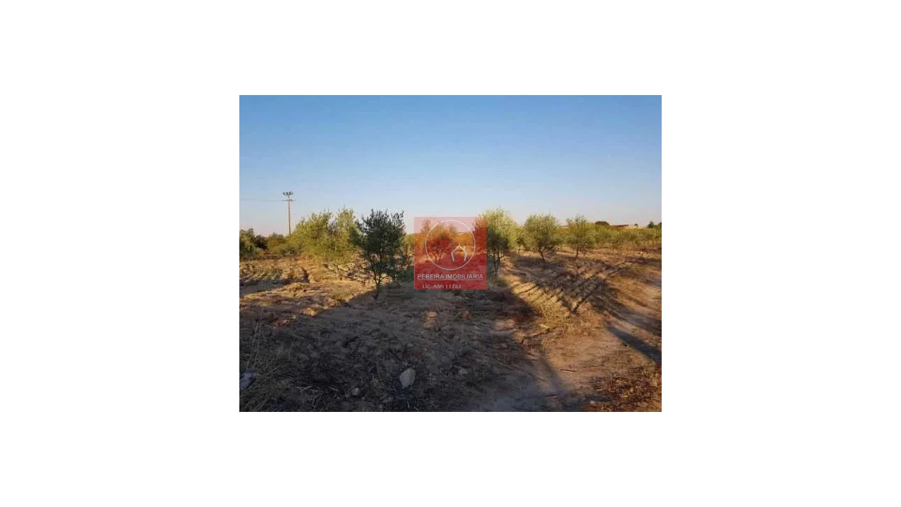 Terreno para Venda em Duas Igrejas Foto 7