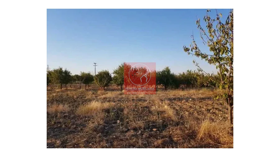 Terreno para Venda em Duas Igrejas Foto 3