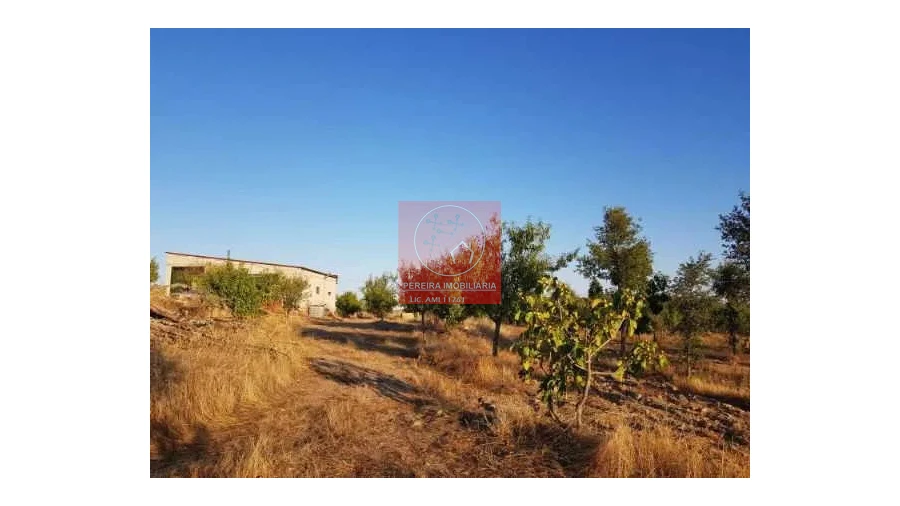 Terreno para Venda em Duas Igrejas Foto 6