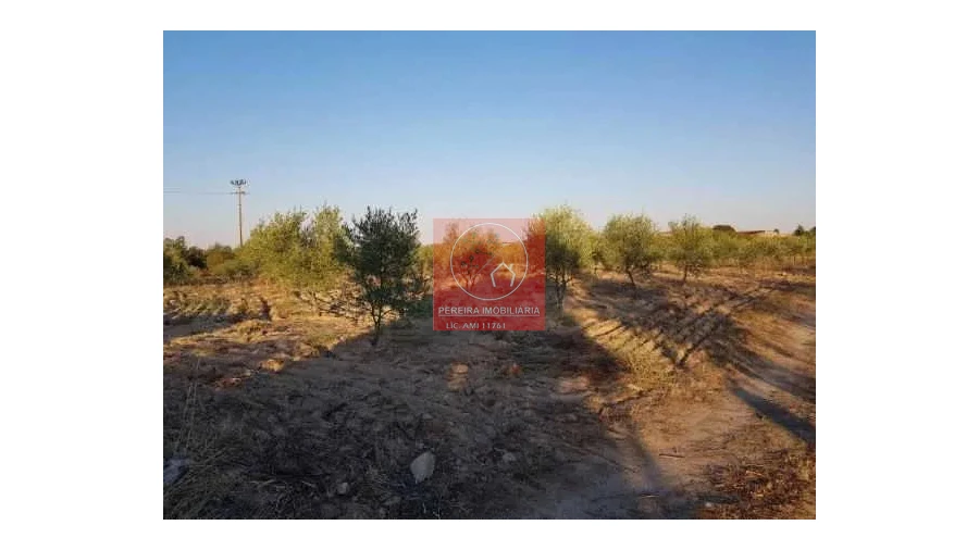 Terreno para Venda em Duas Igrejas Foto 7