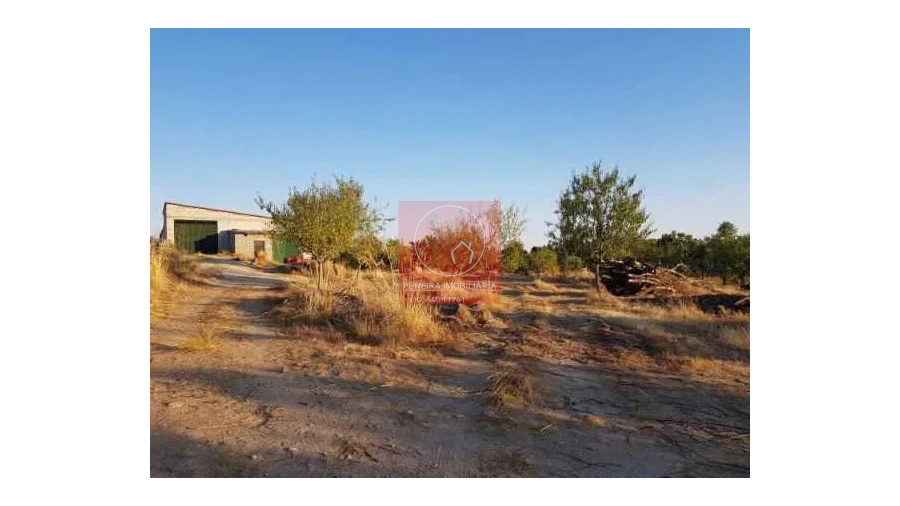 Terreno para Venda em Duas Igrejas Foto 5