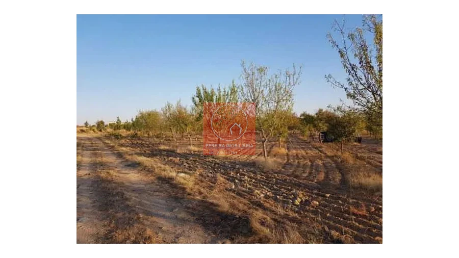 Terreno para Venda em Duas Igrejas Foto 2