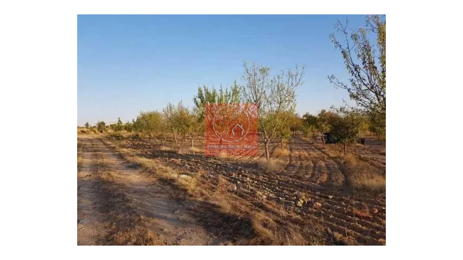 Terreno para Venda em Duas Igrejas