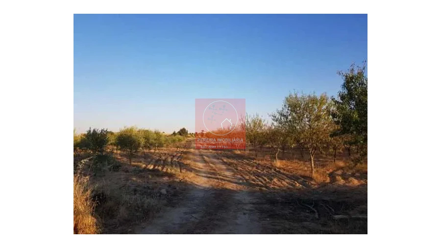 Terreno para Venda em Duas Igrejas Foto 8