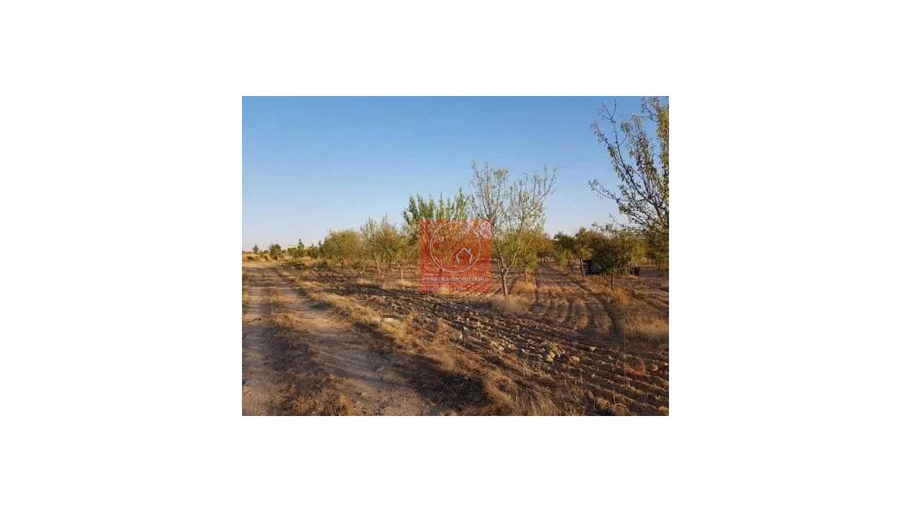 Terreno para Venda em Duas Igrejas Foto 1