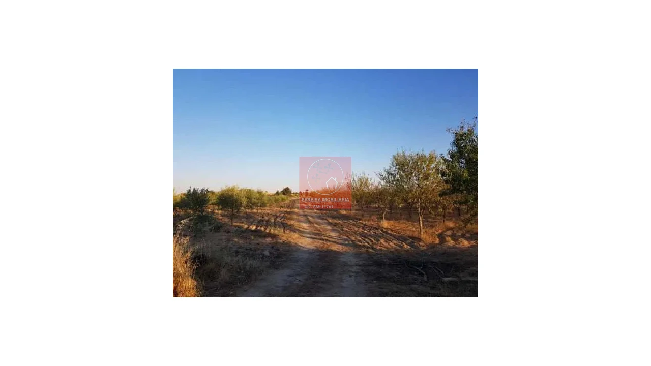 Terreno para Venda em Duas Igrejas Foto 8