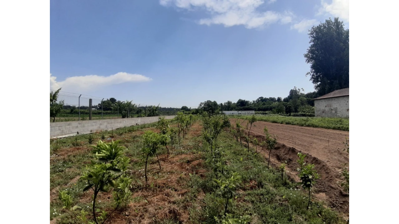 Terreno para Venda em Rendufe Foto 1