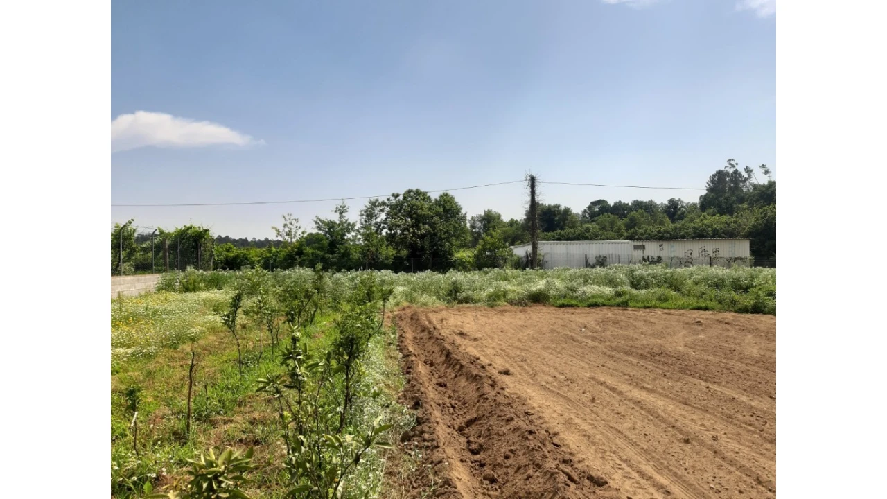 Terreno para Venda em Rendufe Foto 8