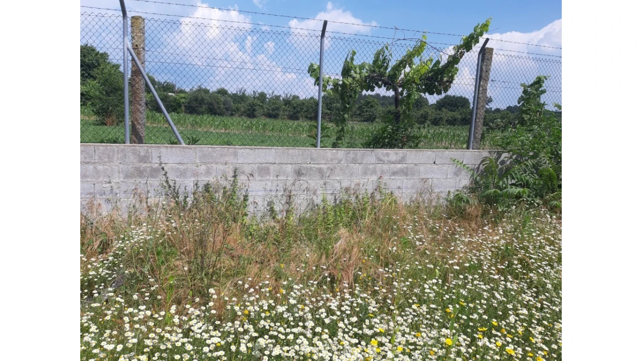 Terreno para Venda em Rendufe Foto 11