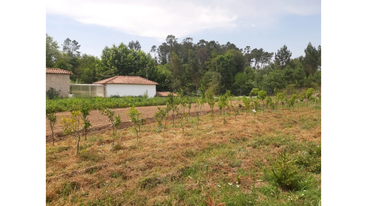 Terreno para Venda em Rendufe Foto 6