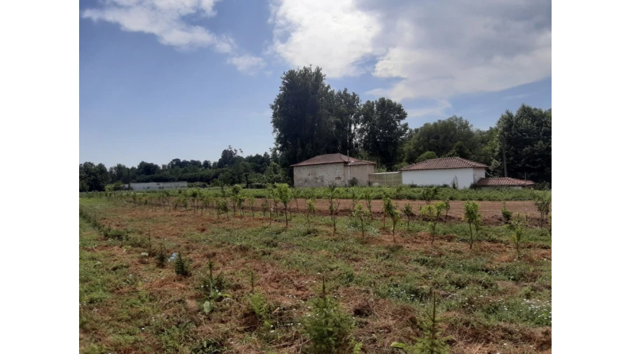 Terreno para Venda em Rendufe Foto 4