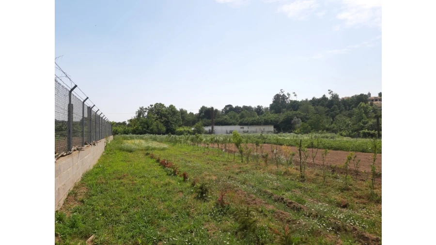 Terreno para Venda em Rendufe Foto 5